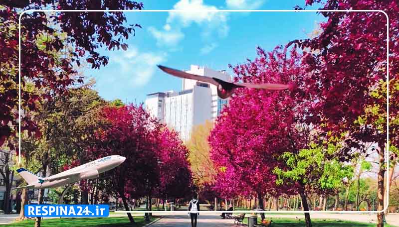 بلیط هواپیما دبی استانبول